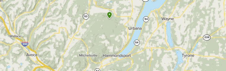 Wine Country Escapes: 5 Scenic Hiking Trails in Hammondsport – New York Wine Country Escapes: 5 Scenic Hiking Trails in Hammondsport – New York