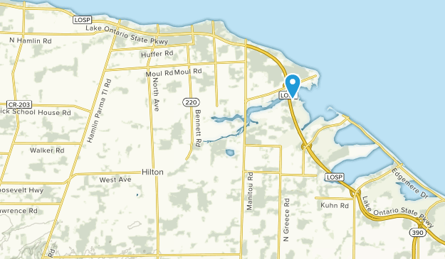 Hilton, New York Map