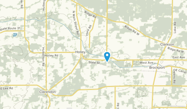 Holley, New York Map