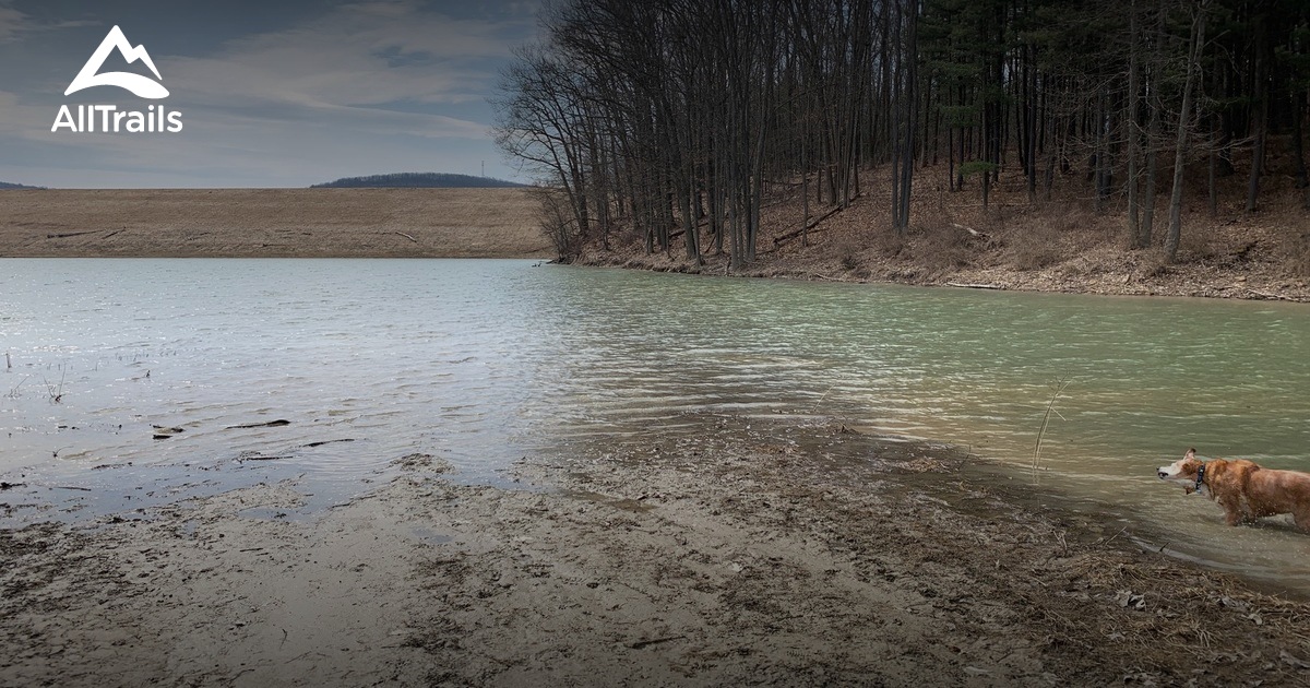 Best hikes and trails in Horseheads AllTrails