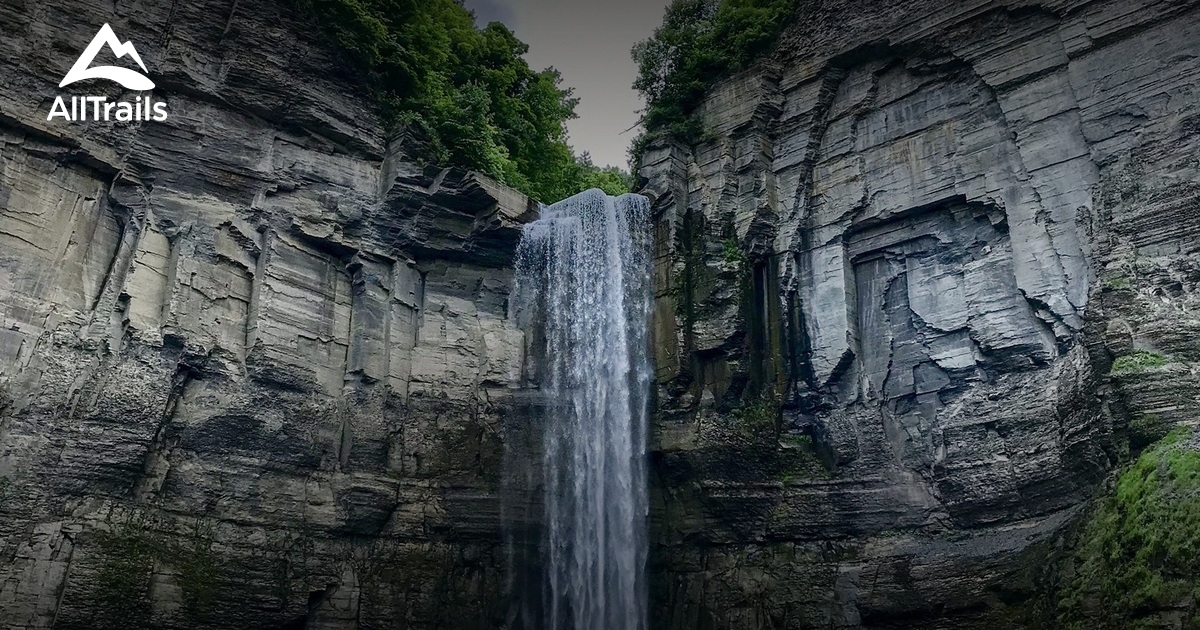 Best Forest Trails in Jacksonville AllTrails