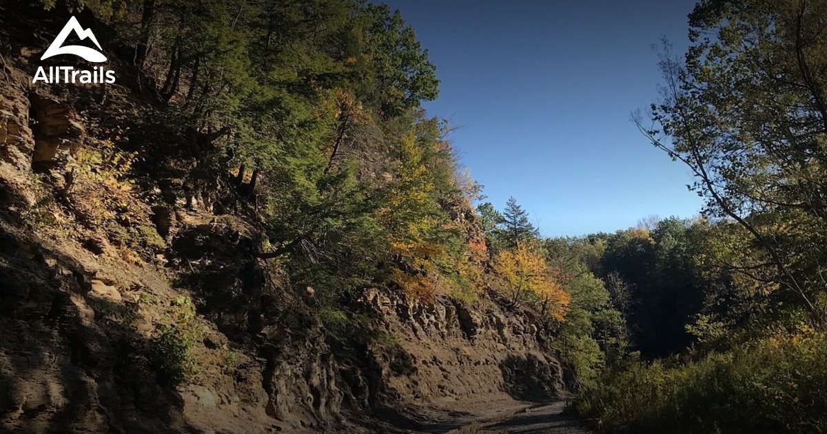 Best hikes and trails in Lakeview AllTrails