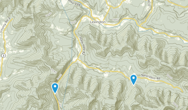 Lexington, New York Map