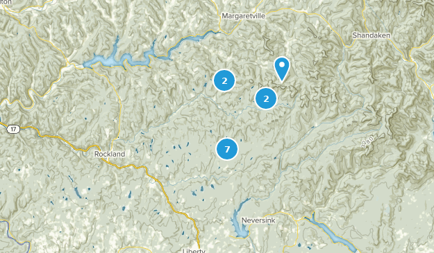 Livingston Manor, État de New York Map