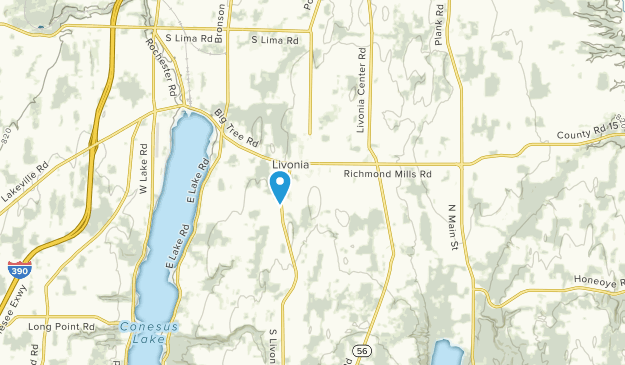 Livonia, New York Map