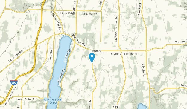 Livonia, New York Map