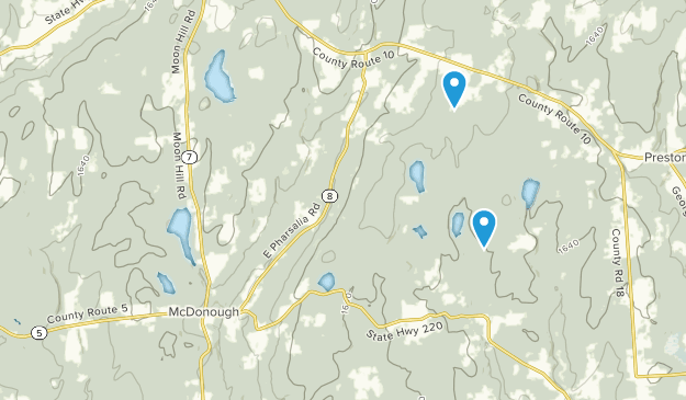 McDonough, New York Map