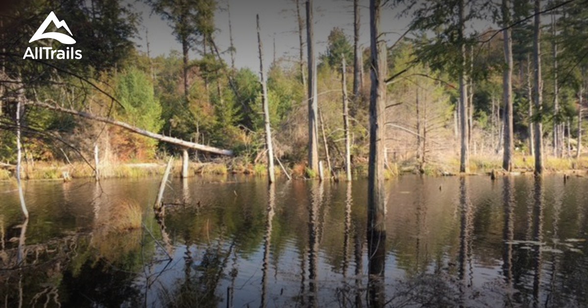 Best Trails near Natural Bridge, New York AllTrails