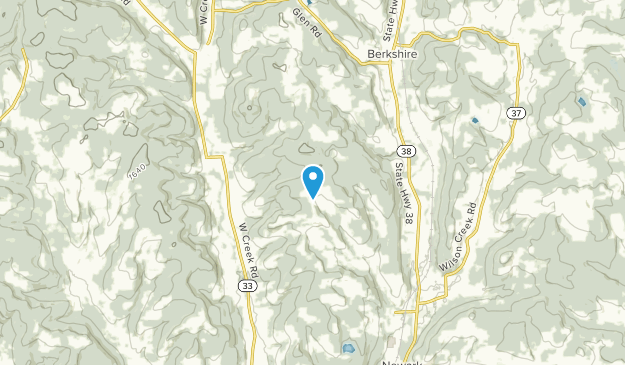 Newark Valley, New York Map
