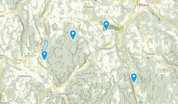 Newfield, New York Map