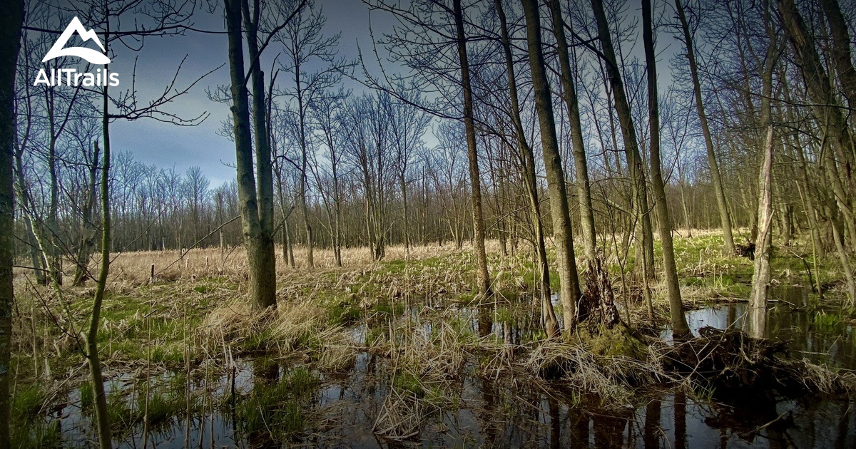 10 Best trails and hikes in Penfield AllTrails