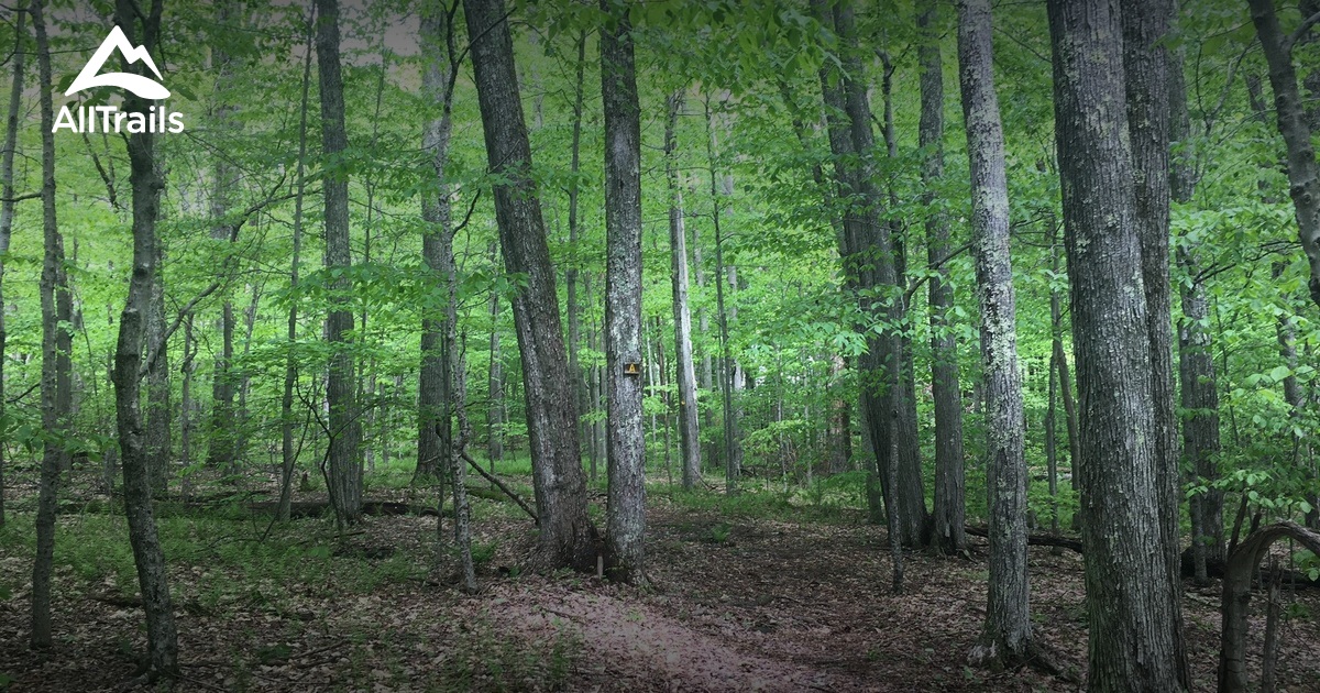 Best Trails near Pine Hill, New York AllTrails