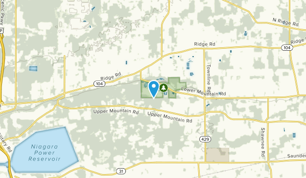 Ransomville, New York Map