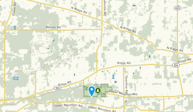 Ransomville, New York Map