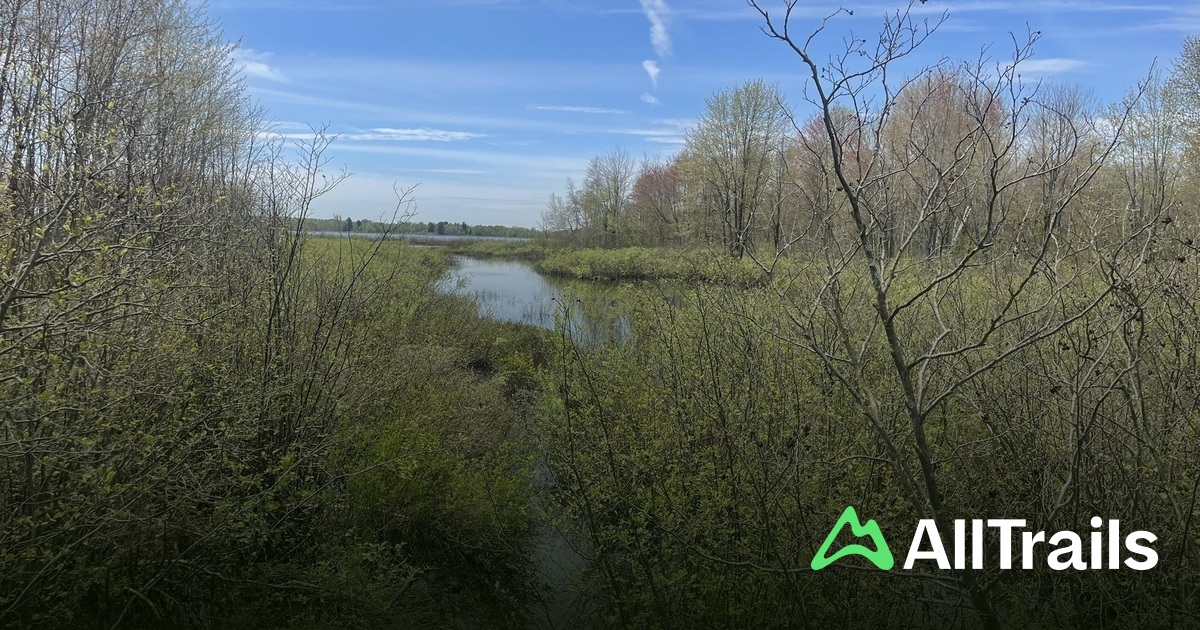 Best short trails in Rensselaer Falls | AllTrails