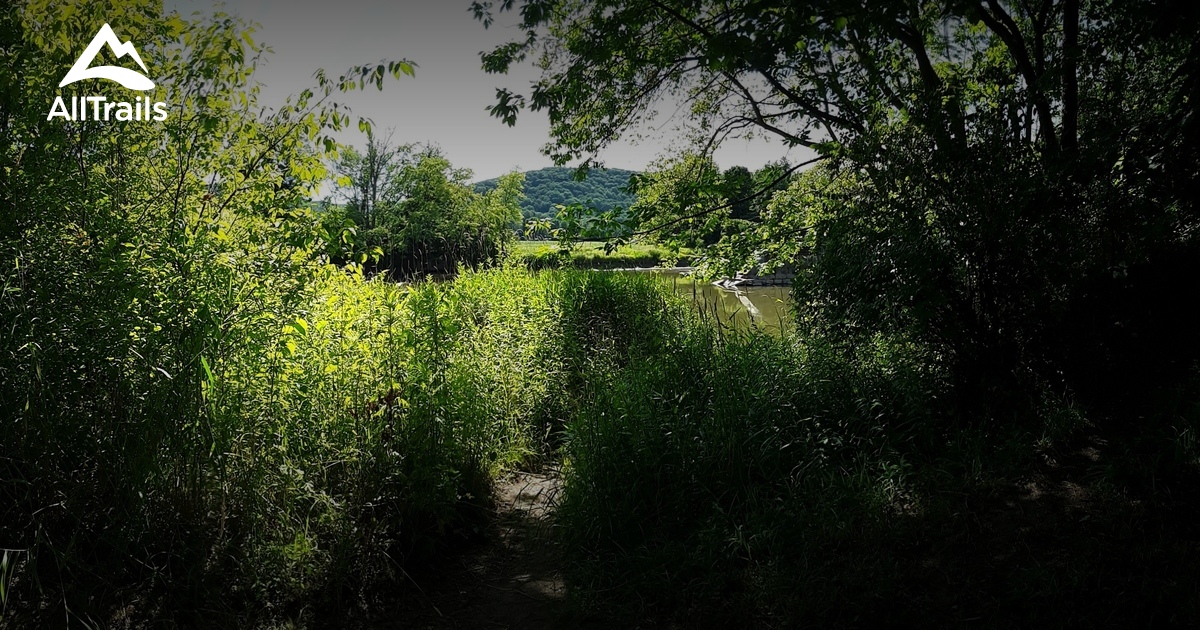 Best Hikes and Trails in Saint Bonaventure AllTrails