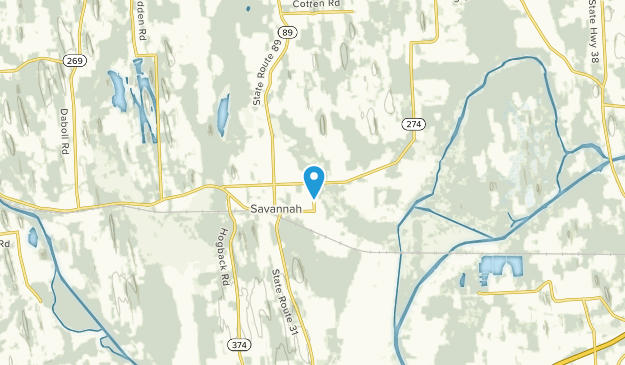Savannah, New York Map