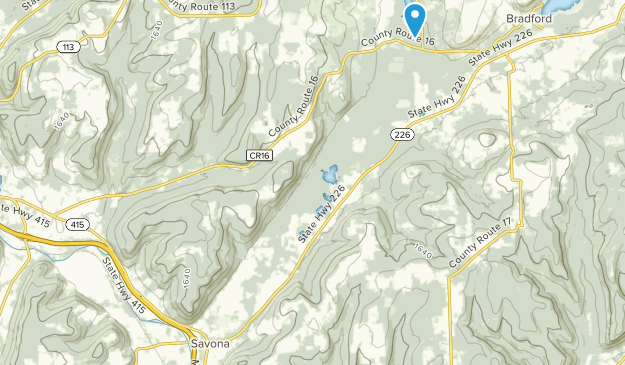 Savona, New York Map