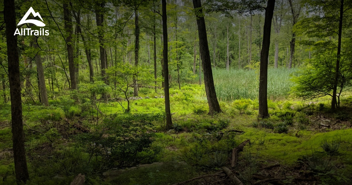 Best hikes and trails in Shrub Oak AllTrails