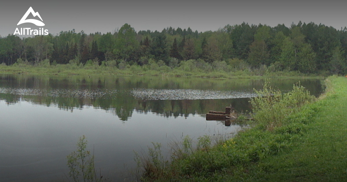 Best Trails near Sinclairville, New York AllTrails