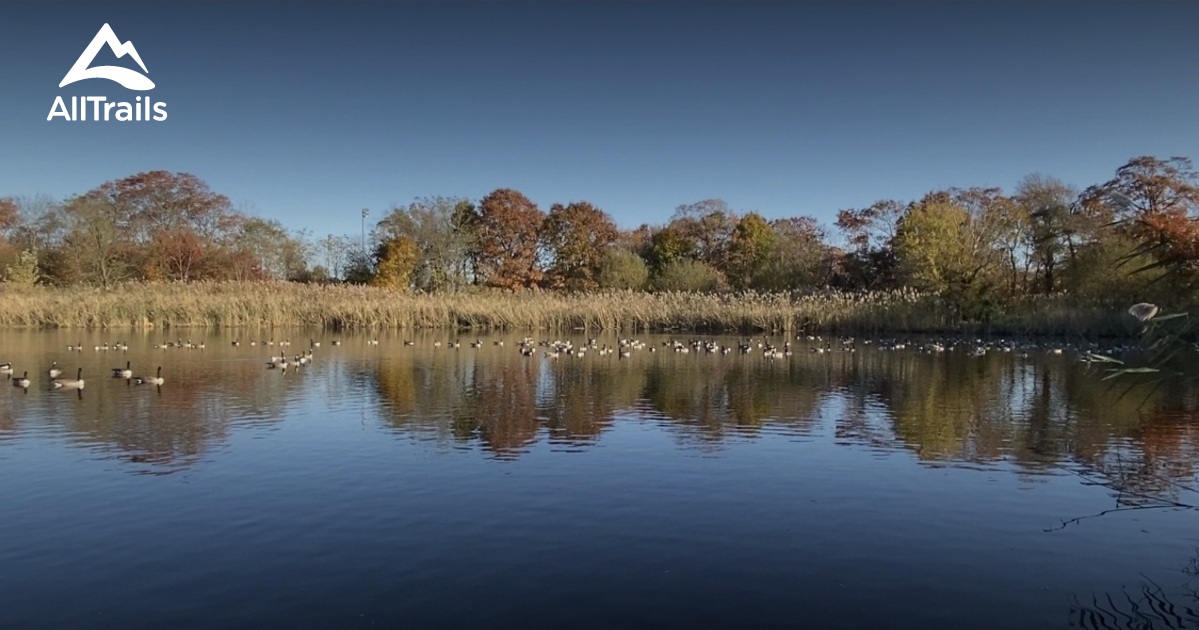 2023 Best Wild Flowers Trails in South Farmingdale AllTrails