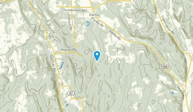 Spencer, New York Map