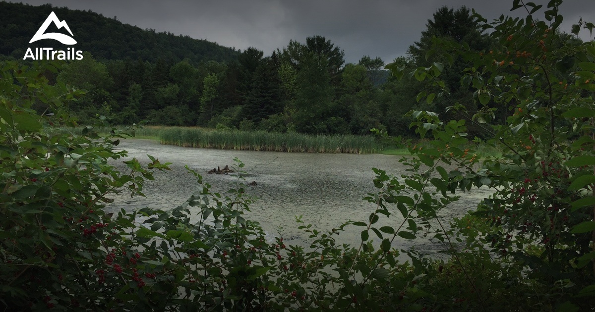 Best hikes and trails in Springfield Center AllTrails