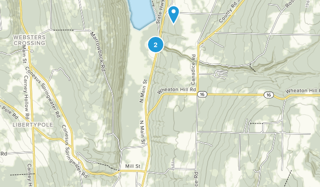 Springwater, New York Map