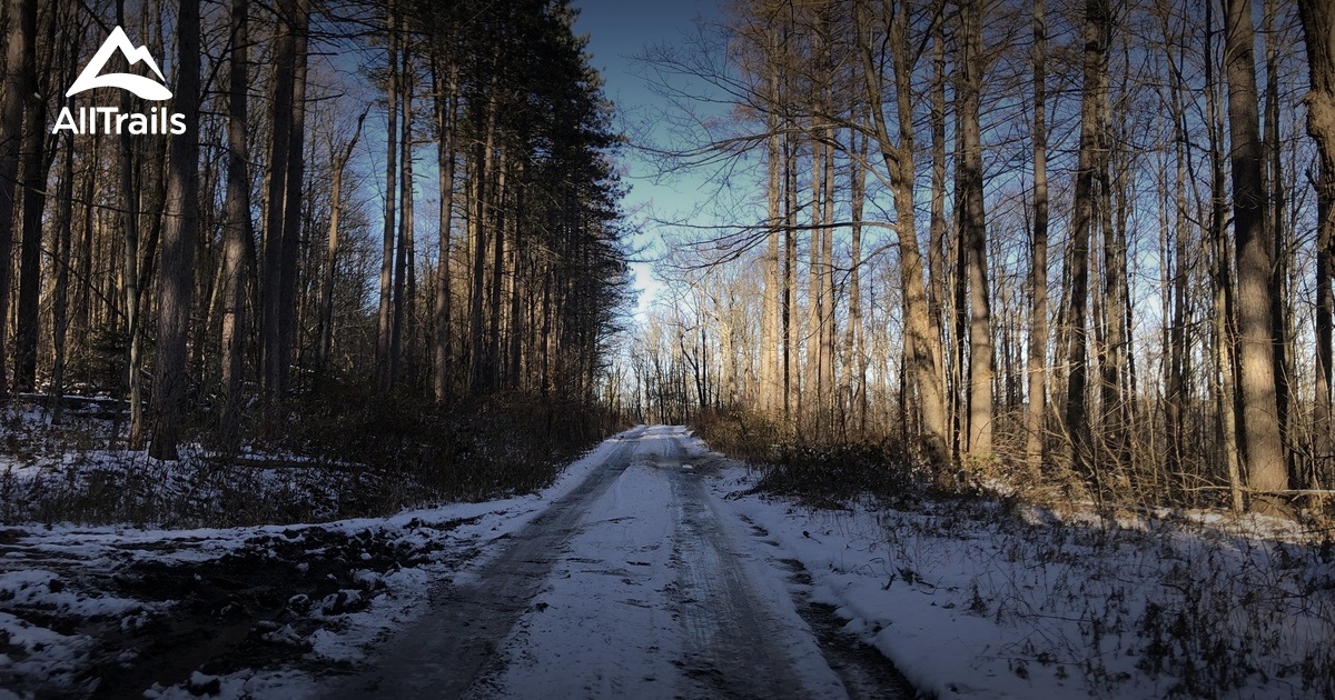 Best hikes and trails in Truxton AllTrails