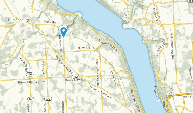 Ulysses, New York Map