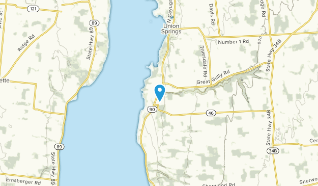 Union Springs, New York Map