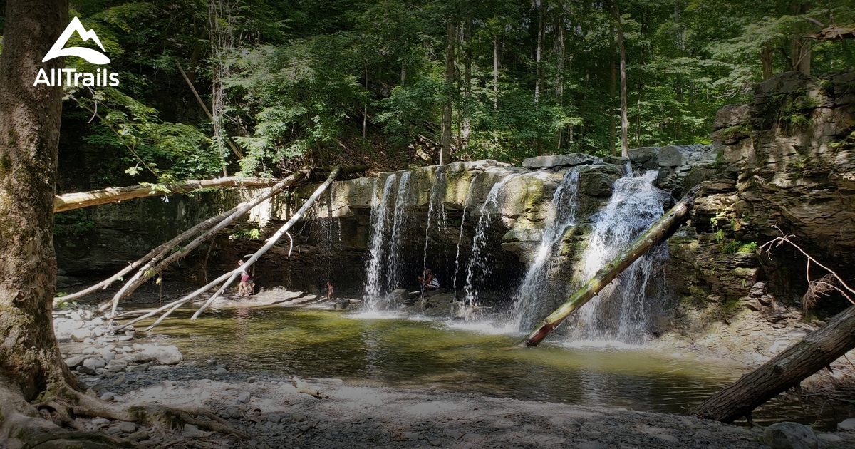 Best Trails near Union Springs, New York | AllTrails