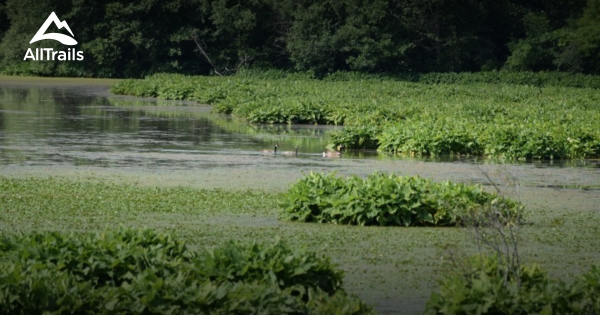 Best Trails near Utica New York Photos & Reviews AllTrails