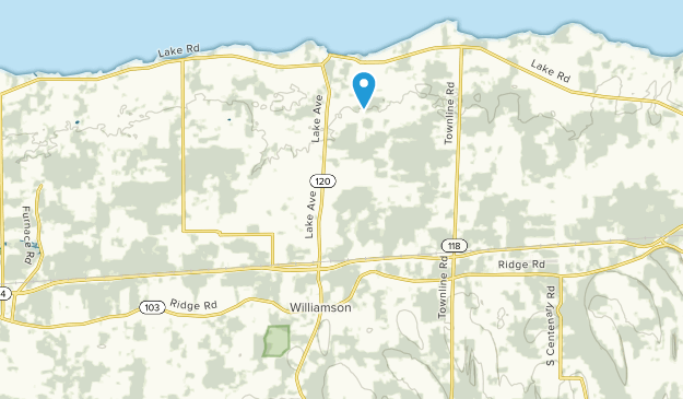 Williamson, New York Map