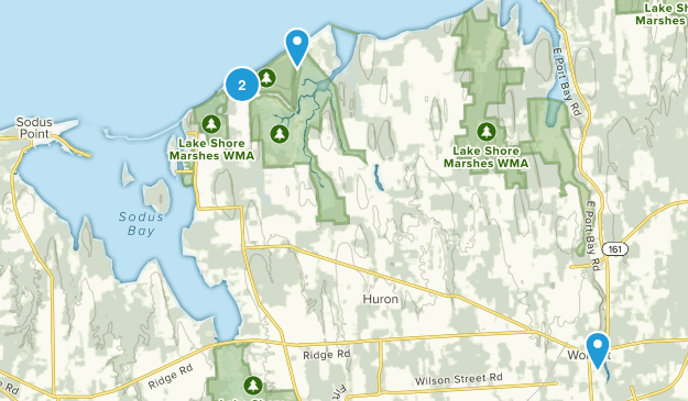 Wolcott, New York Map