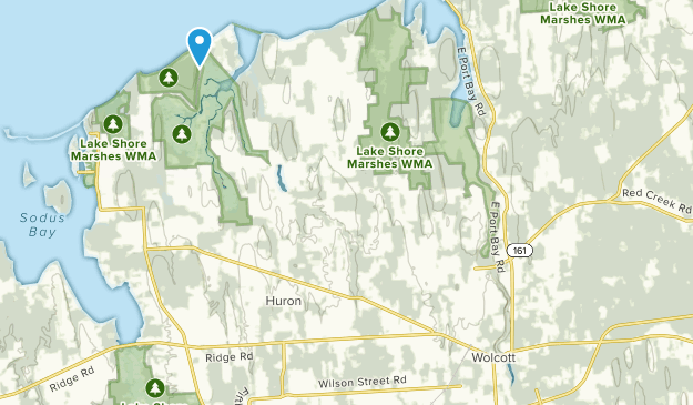 Wolcott, New York Map