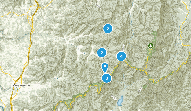 Barnardsville, Caroline du Nord Map