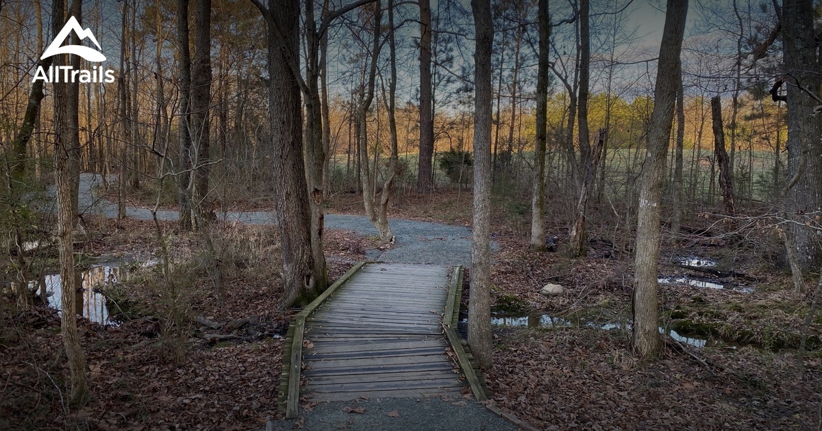 Best hikes and trails in Bear Creek | AllTrails