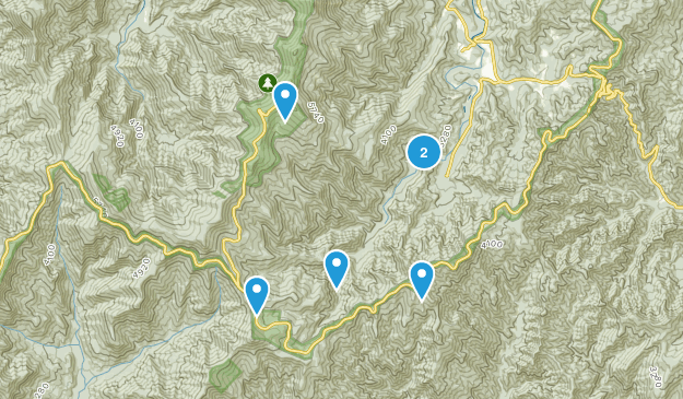 Busick, North Carolina Map