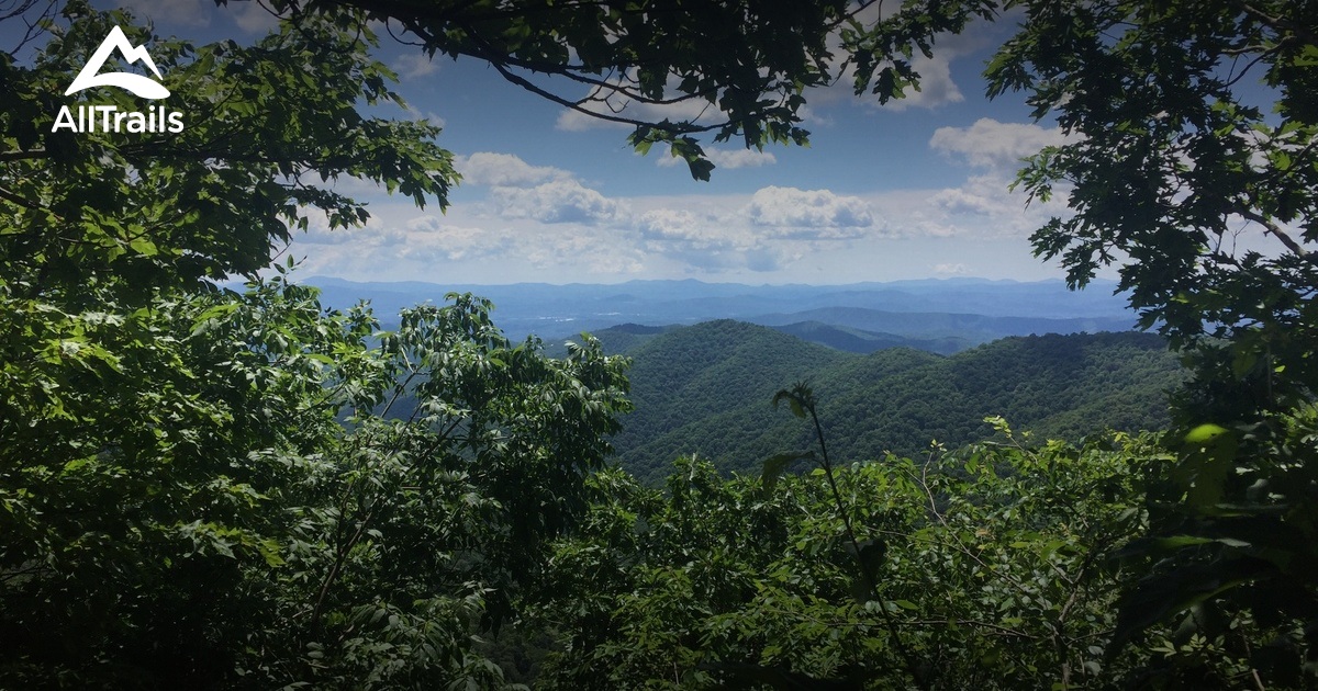 10 Best forest trails in Candler | AllTrails