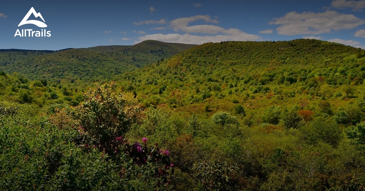 Best Trails near Canton, North Carolina AllTrails