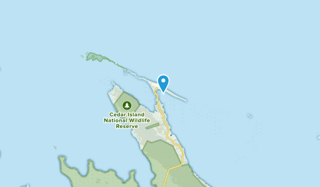 Cedar Island, North Carolina Map