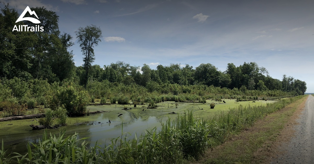 Best Wildlife Trails in Corapeake AllTrails