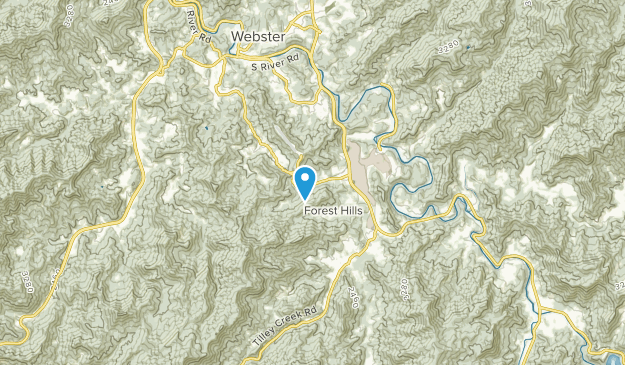 Forest Hills, North Carolina Map