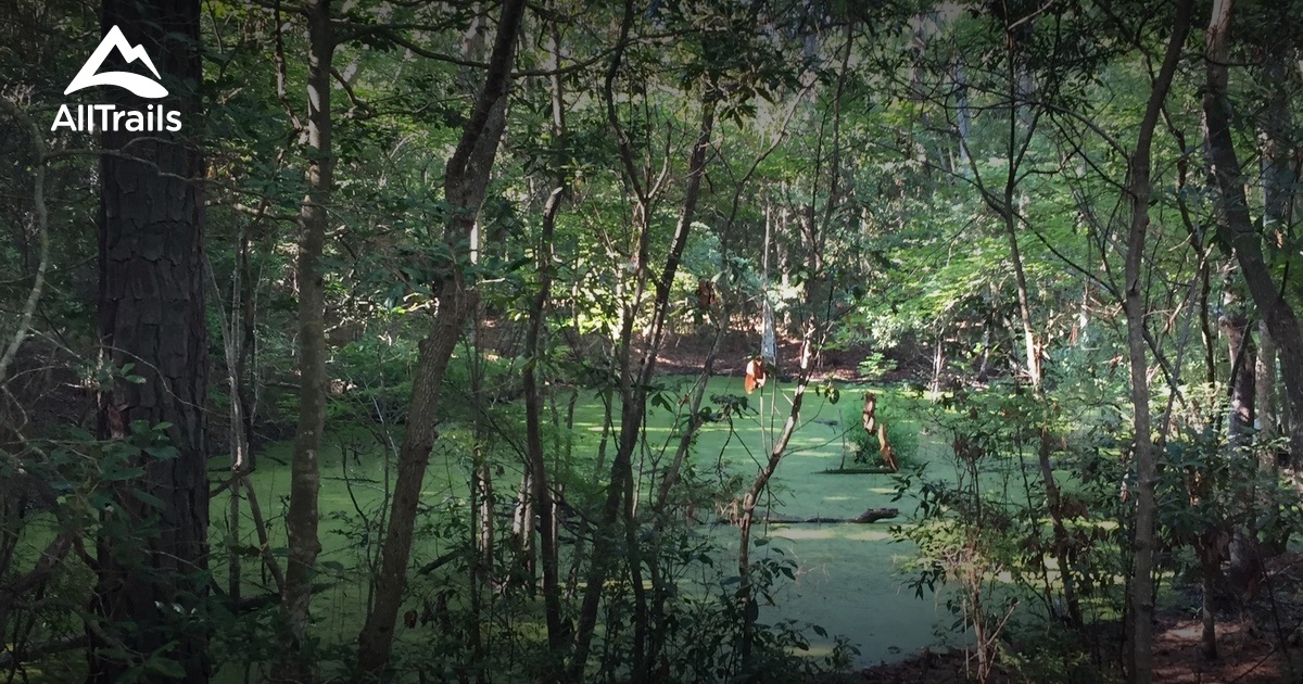 Best Trails near Kill Devil Hills, North Carolina AllTrails