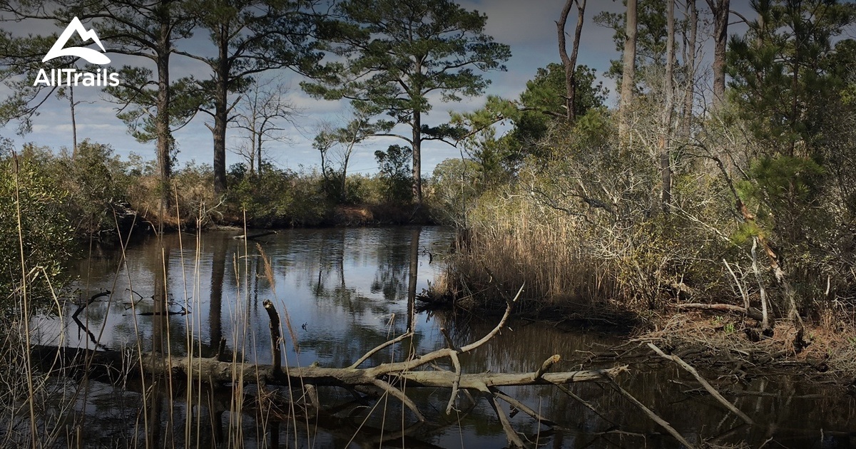 Best trails in Knotts Island, North Carolina | AllTrails