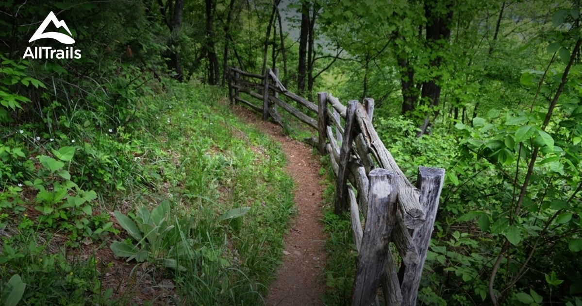 Best Trails near Laurel Springs, North Carolina AllTrails