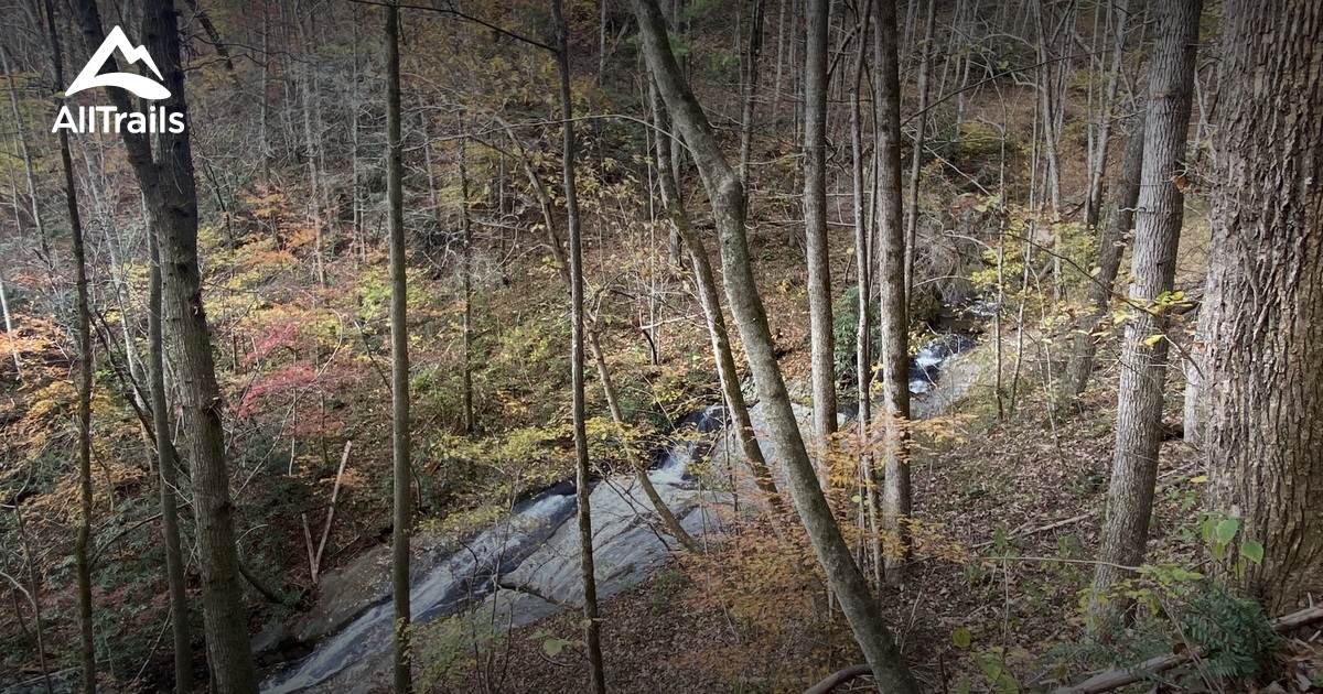 Best hikes and trails in Millers Creek AllTrails