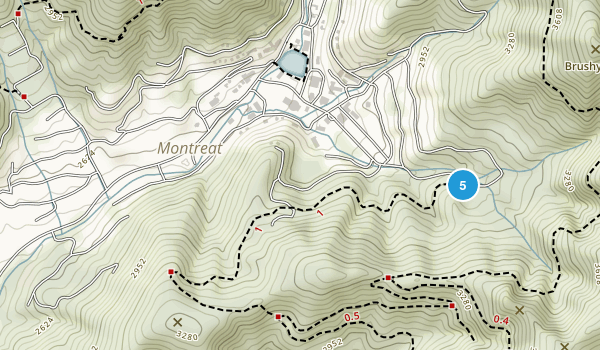 Montreat, North Carolina Map
