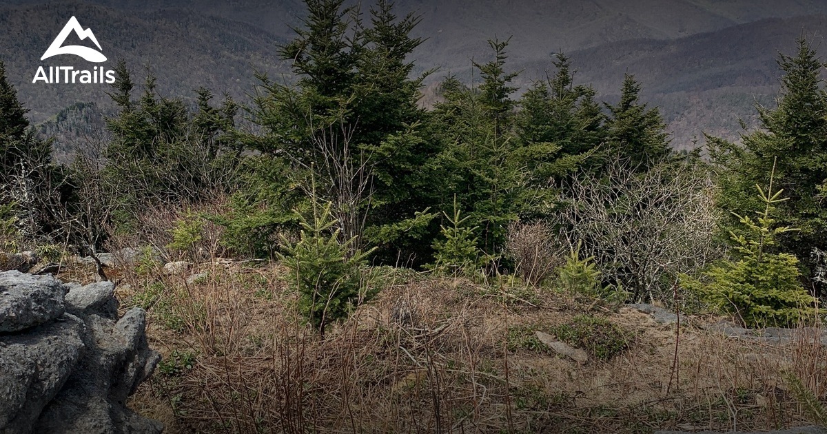 Best Trails near Montreat, North Carolina AllTrails